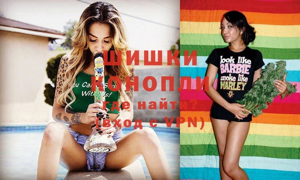 меф Снежинск