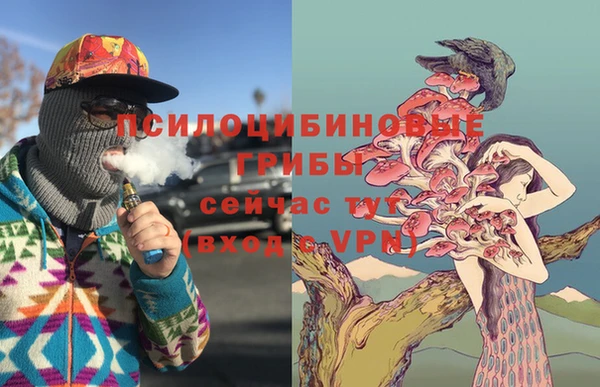 меф Снежногорск