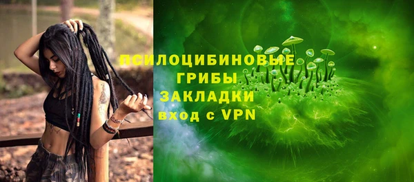 меф Снежинск